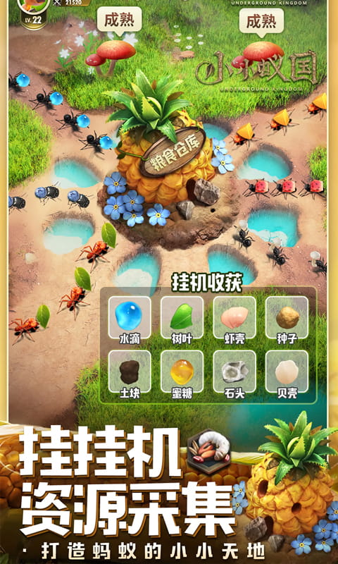 https://api.fzhuiheng.com/static/uploads/20250729181542172.png